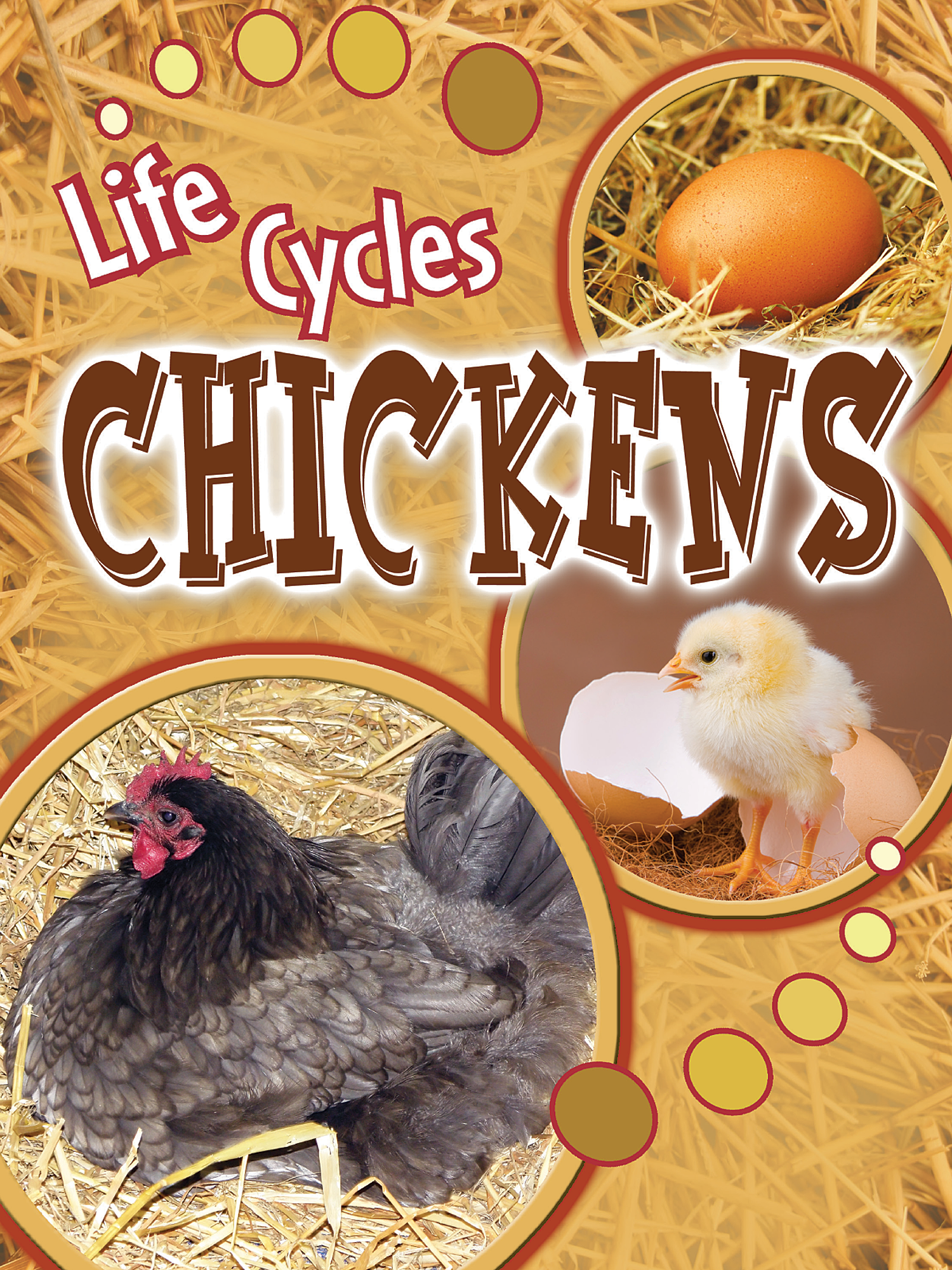 Читать chicken. Alen на обложке chicken and eds. лук и курица обложка фильма. lib chick.