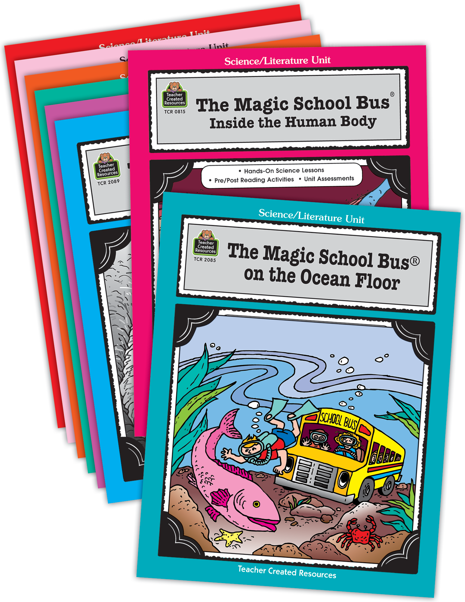 magic school bus teacher