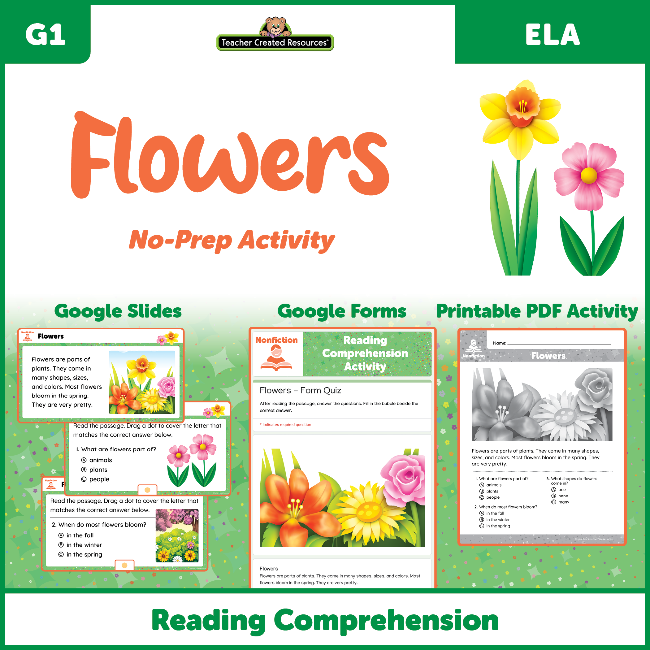 Flowers - Reading Comprehension Activity Google Slides - TCRGS10007 ...